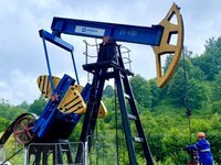 Кабмин передал в управление “Укрнафты” арестованные активы “Татнефти” – депутат Гончаренко