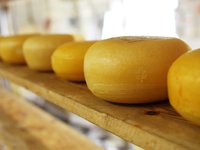 В Сумской области готовятся к запуску коммунального сырзавода