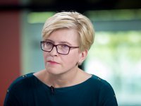 Транзит украинского зерна через порты Балтии потребует вложений в их инфраструктуру – премьер Литвы