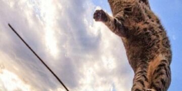 Повітряний шторм насувається: коли вітер накриє Київ