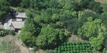 Вилучено тонни коноплі: як працювала схема наркобізнесу у Києві