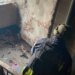 РФ атаковала дом в Херсоне: произошел пожар, есть пострадавшие