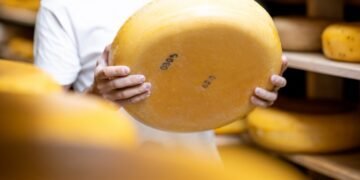 Компании «Агропродсервис» и «Молокия» инвестируют в новый завод по производству сыров с перерабатывающей мощностью 100 тонн молока в сутки.