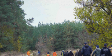 Два дні без їжі та води: в лісі на Київщині тривають пошукові роботи, – ФОТО