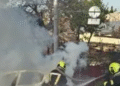 Вогняна небезпека біля дороги: в Києві здійнялось сильне задимлення, – ФОТО