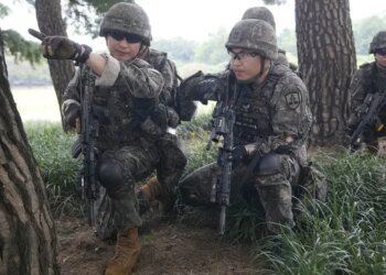 Інформація росіян про появу військових КНДР на Запорізькому напрямку не має підтвердження – ЦПД