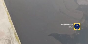 “Экоцид продолжается”: россияне слили в реку в Мариуполе остатки нефтепродуктов, вода стала черной. ВИДЕО