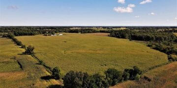 Прибыль от аукционов Земельного банка превысила ₴1 млрд за год.