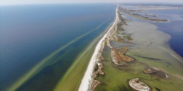 Стратегический плацдарм: ВМС объяснили, почему россияне держатся за Кинбурнскую косу