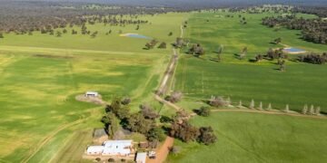 В Полтавской области продают предприятие по производству стройматериалов, а в Одесской – агрокомпанию с земельным банком 1 300 гектаров.