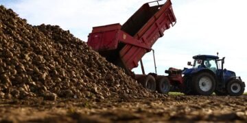 Украина активизирует диалог с ЕС по поводу единой аграрной политики.