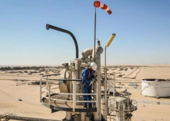 Новый игрок против Путина: кто предлагает Западу заменить российскую нефть