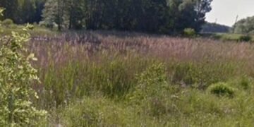 Екологічний злочин у Києві: як нотаріус оформила право власності на землю Нацпарку