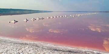 Обеспечит более 50% потребностей отечественного рынка: В Одесской области скоро запустят завод по производству соли.