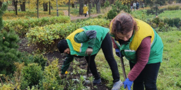 Краса осені “оживає” на очах: що зараз роблять фахівці “Київзеленбуд”, – ФОТО