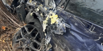 Пастка біля дороги: на Київщині автівка “влетіла” в дерево, – ФОТО