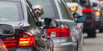 Дороги Києва заблоковано: громадський транспорт курсує із затримками