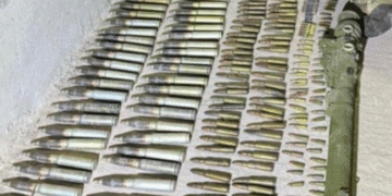 Сотні вибухових предметів: на Київщині поліція знайшла небезпечну схованку, – ФОТО