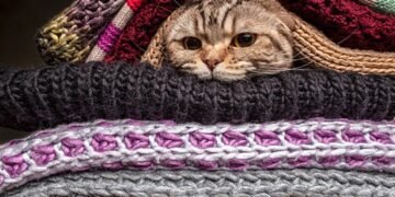 Тепло в руках мешканців: як у Києві вирішують проблему опалення