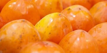 Продукти просто з поля: у Києві з 23 грудня стартують масові ярмарки