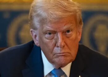 Трамп понимает, что не может остановить войну, но делает вид, – Шейтельман