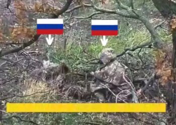 Маскировка подвела: украинский дрон уничтожил снайперскую пару РФ. ВИДЕО