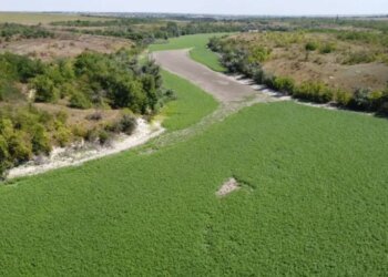 Оккупанты нашли кратчайший путь в Запорожье и пытаются там прорваться, – СМИ