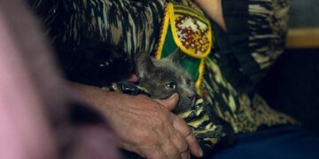 Можливість виїзду з прикордоння Сумщини може ускладнюватися, але до 4 тис. жителів відмовляються від евакуації – ОВА