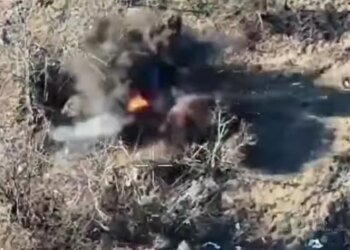 Прикордонники знищили гармату Д-30 та РЕБ окупантів на Північно-Слобожанському напрямку