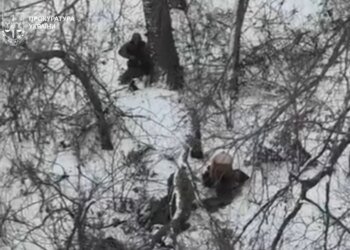 Розстріл представниками зс рф полонених українських захисників під Покровськом: прокуратура повідомила про початок розслідування