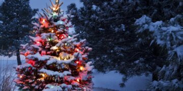 Снежный Новый год: синоптики пообещали украинцам крепкие морозы