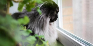 Украину накроет масштабный антициклон: Диденко назвала даты похолодания и дождей