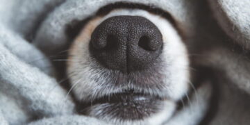 Зима на паузе: украинцев предупредили о дождях и тумане