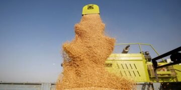 Украина занимает второе место по объему производства зерновых среди стран ЕС.