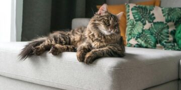 Без дождей не обойдется: синоптики предупредили о погодных “сюрпризах”