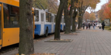 Транспортний збій: тролейбуси Києва курсують із затримками