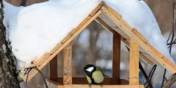 Зимовий еко-тренд: у Києві роблять сотні дерев’яних міні-будинків, – ФОТО