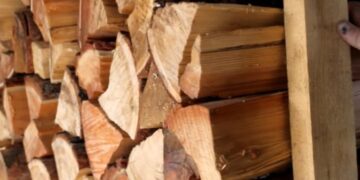 Золотой запас тепла: сколько лет на самом деле можно хранить дрова