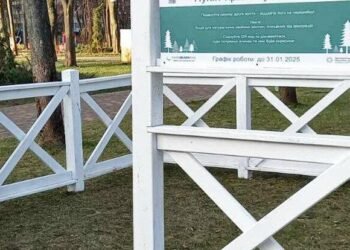 Ялинкам дадуть друге життя: як і де киянам здати новорічне дерево