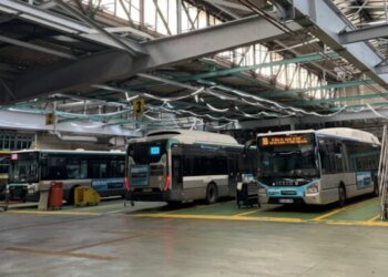 Автобуси з Парижа вже на маршрутах: Київщина відновлює перевезення