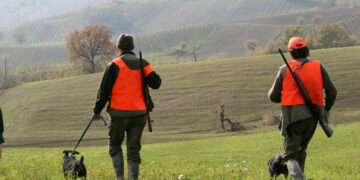 Украинцы в Польше могут подзаработать на “убийственном” хобби: как получить от 300 до 650 злотых