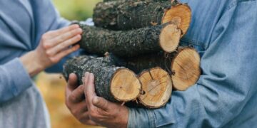 Опасное топливо: лесник назвал дрова, которыми нельзя греться зимой
