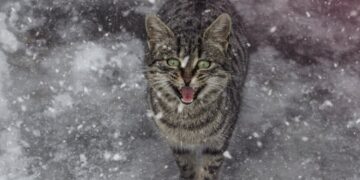 В Украину идет потепление, но с неприятным нюансом: какой погоды ждать в начале недели