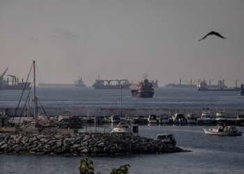 Несмотря на российские обстрелы, морские порты Украины в 2025 году выполнили план перевалки товаров на более чем 95%.