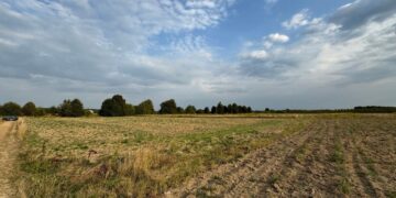 Украинцам объяснили, у кого могут забрать огороды: как защитить свою землю