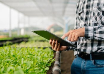 Восстановление и экономическое развитие: в Piraeus Bank объяснили, зачем банки и финтех-компании трансформируют агробизнес Украины.