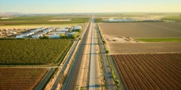 Рынок сельхозземель в 2025 году рос и перешел в фазу прогнозируемой динамики.