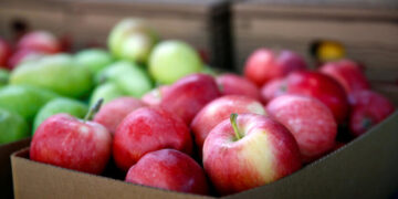 Ценовой шок в супермаркетах: какие продукты больше всего подорожают до конца зимы