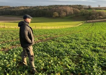 Правительство запускает государственную поддержку страхования агропродукции для сельхозпроизводителей.