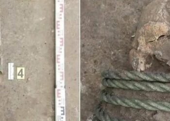 Жінки з бронзовими кільцями та чоловіки зі зброєю: унікальне кладовище біля Києва